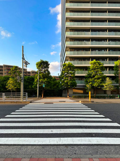 istock Landscape with a crosswalk, daytime, apartment building 2167378884
