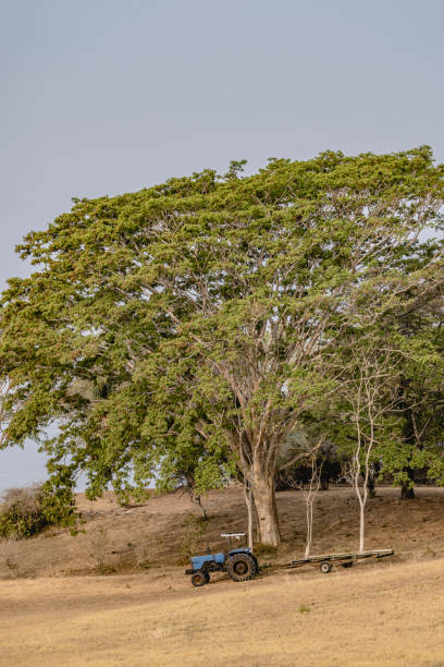 istock Ecolodge in Costa Rica 2167379633