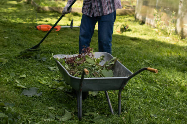 istock A man works in the garden. 2167380244