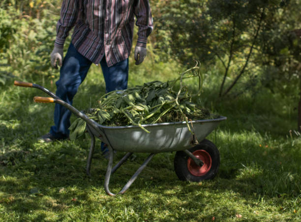 istock Man working in the garden 2167380265