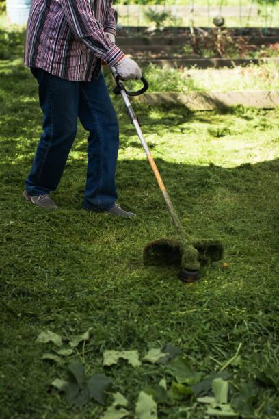 istock Man working in the garden 2167380301