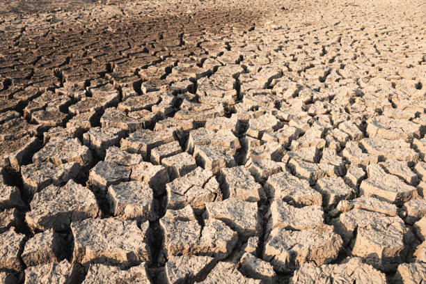 istock Landscape ground cracks drought crisis environment background. 2167385788