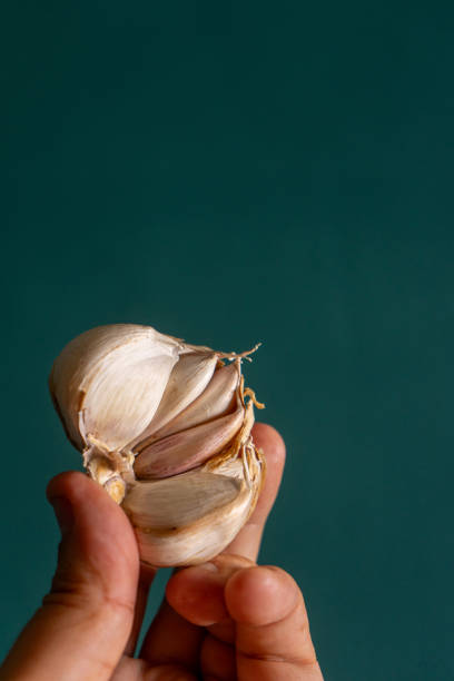 istock A man's hand holding a garlic bulb against a muted green background. 2167388077