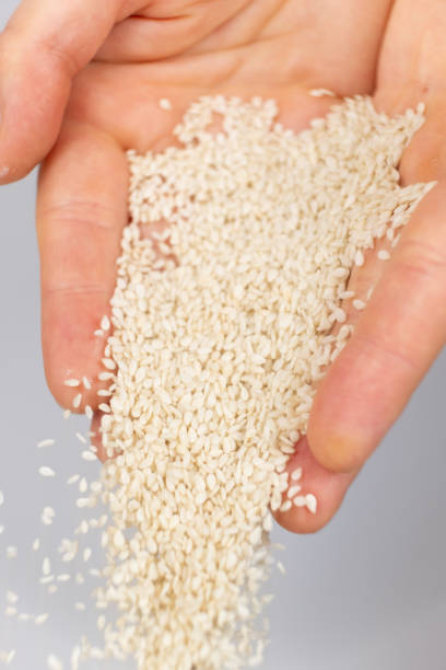 istock Hands pouring white sesame seeds on gray background 2167388687