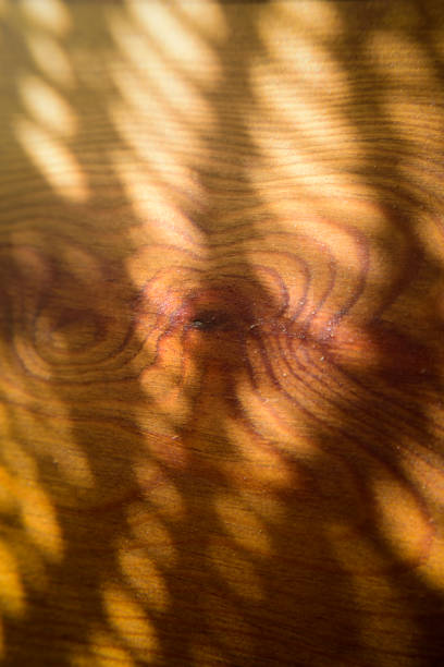 Crochet shadow in wooden veins