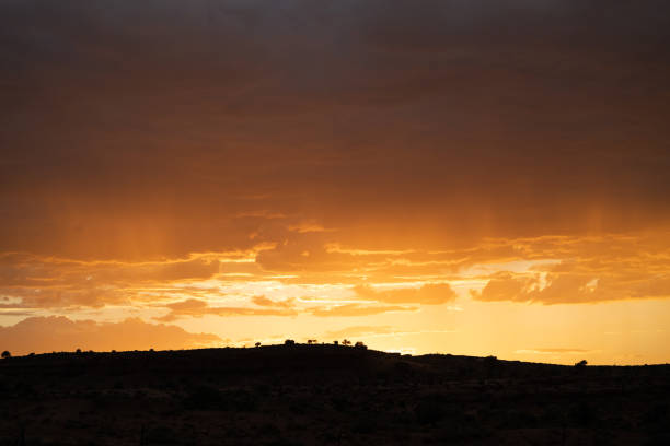 Beautiful landscape in Africa, savanna taken on a safari. beautiful views of Kenya and its animal world. Panorama, sunrise, mountains, clouds and animals in Kenya
