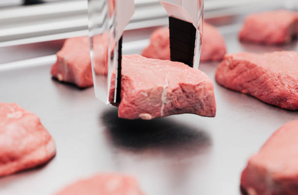 Automated robot arm putting down a piece of artificial meat on a tray. Part of a series images and videos of an innovative 3D printer is making artificial meat with sustainable resources in a biotech laboratory. Concept created in 3D.