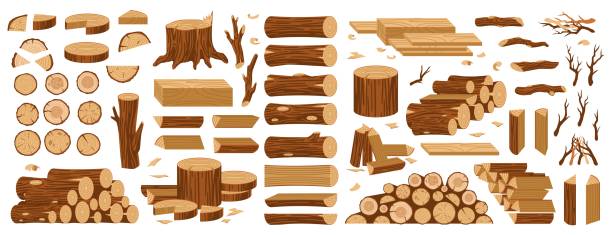 Cartoon wooden timbers. Tree logs and trunks, chopped firewood, stacked planks, woodwork bars and washers, nature materials, forest construction materials isolated on white background tidy vector set