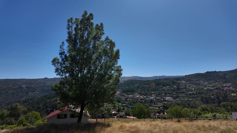portugal north countryside