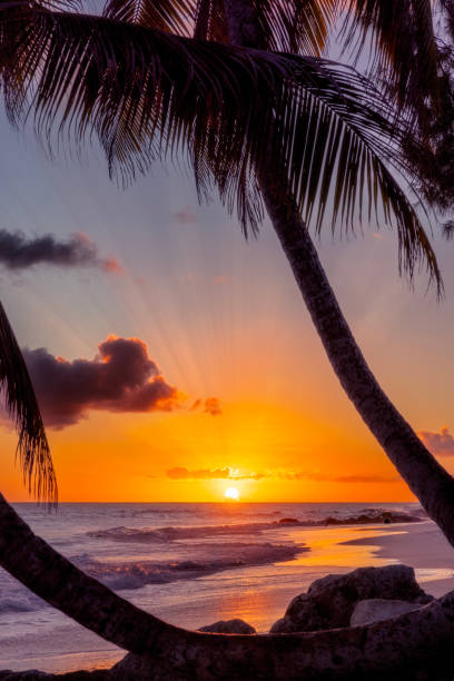 istock Barbados Holiday Shots 2167408638