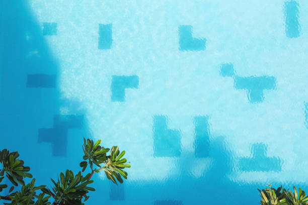 close view of a green banana leaf on the cement edge of swimming pool with blue water. Summer backdrop with copy space