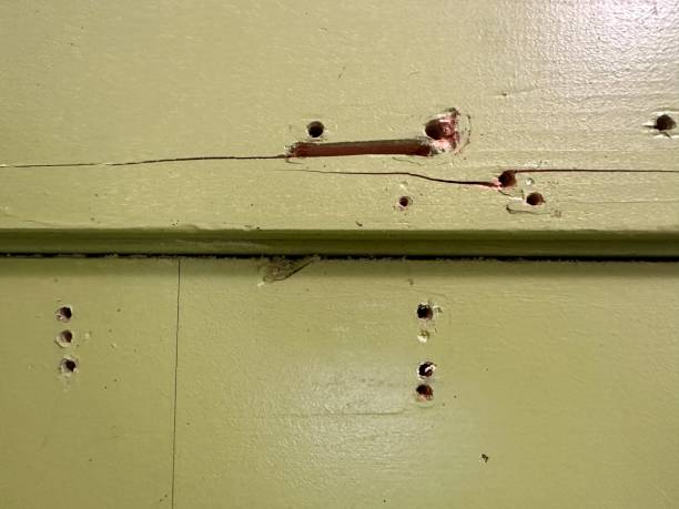 Damaged Wood Trim