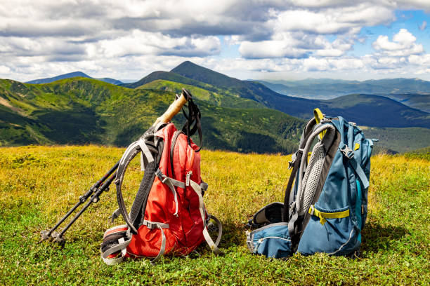 istock Hiking in the mountains with a backpack and walking poles. 2167421959