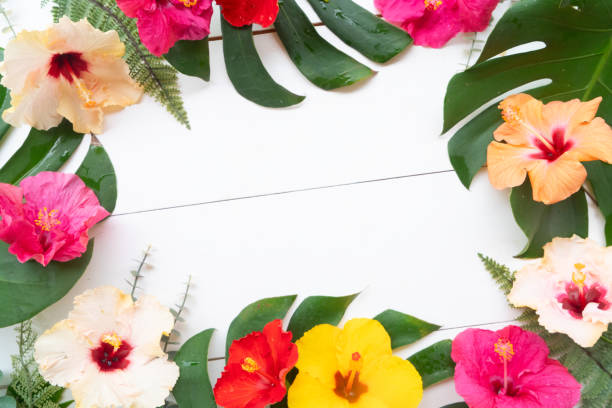 istock Tropical flowers and leaves, summer vacational background 2167422722