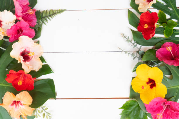 istock Tropical flowers and leaves, summer vacational background 2167422777