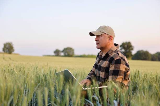 istock Farmer working with laptop on wheat field. 2167426882