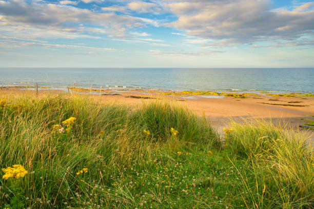 Lossiemouth East Beach, in the north-east Scotland
