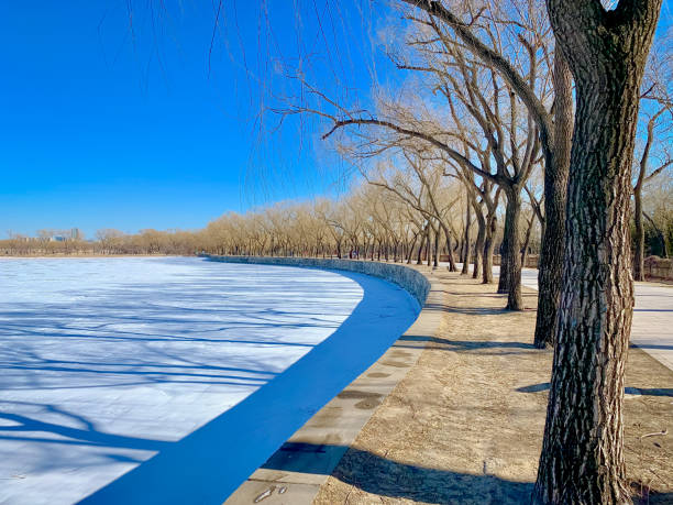 A quiet winter path winds alongside the frozen Kunming Lake in the Summer Palace, Beijing, China. The bare trees, casting long shadows on the pathway, create a serene and contemplative atmosphere. The clear blue sky and the smooth, ice-covered lake reflect the stillness and beauty of winter in this historic imperial garden.