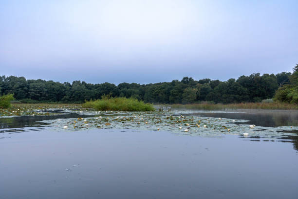 istock Blue Hour at Artist Lake #3 2167436558