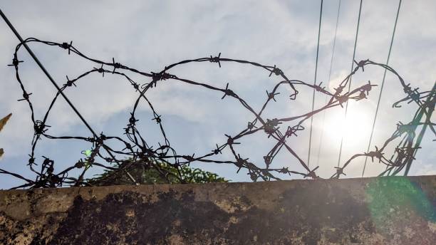 istock barbed wire to prevent theft 2167438727