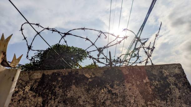 istock barbed wire to prevent theft 2167438764