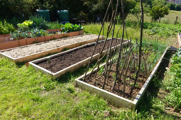 istock Raised Garden Beds with Various Crops and Prepared Soil 2167445139