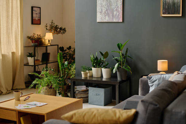istock Living Room with Plants 2167445156