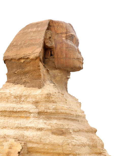 istock Famous Great Sphinx, Cairo, Egypt. Ancient statue of Sphinx, mythical creature with head of man and body of a lion, Giza pyramid complex (Giza Necropolis). Isolated on white background 2167445538