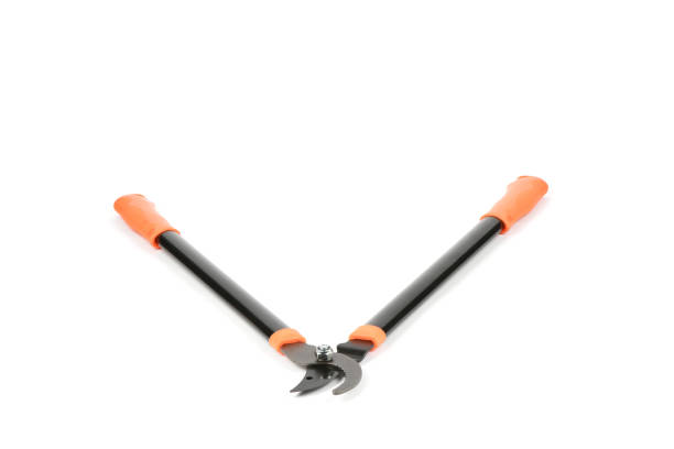 A pair of needlenose pliers sits on a hardwood table, next to a toy wing and electric blue snips. The table is made of sturdy flooring wood