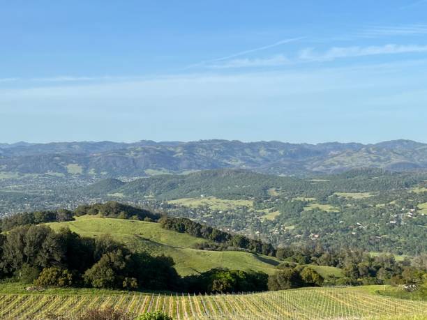 istock Taylor Mountain Regional Park, Sonoma County, California 2167448043