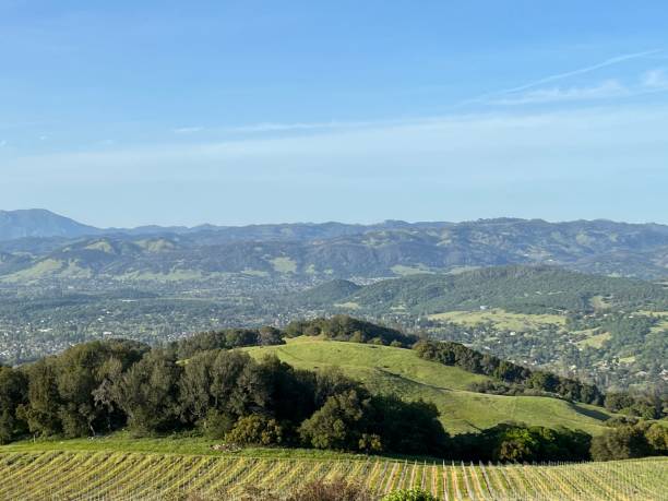 istock Taylor Mountain Regional Park, Sonoma County, California 2167448049