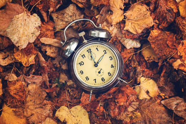 istock Daylight saving time concept, old analog alarm clock set to two o'clock placed on a pile of dry autumn foliage leaves, top view 2167449055