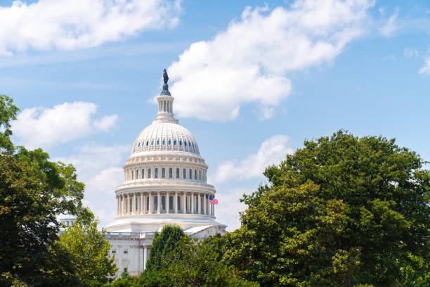 istock U.S. Capitol building in Washington D.C. among the trees 2167456155