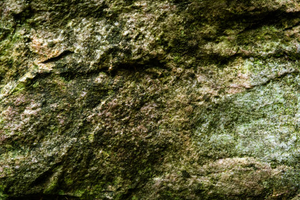 Close-Up of Weathered Rock Surface with Natural Patterns and Texture.