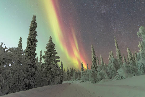 istock Northern lights on snowy forest, Sweden 2167457135