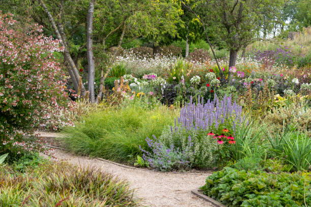 istock Flowering plants in the garden. 2167459190