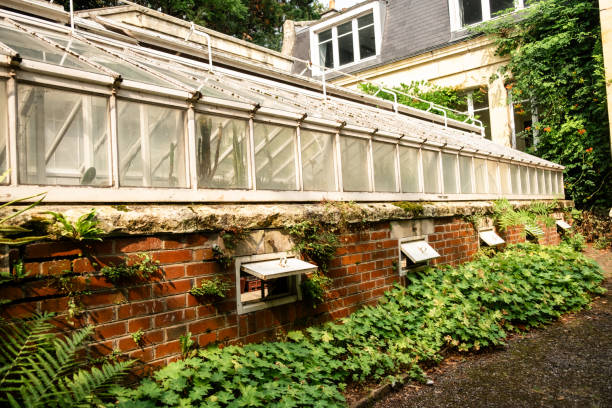 istock Historic Greenhouse with Brick Foundation Covered in Greenery and Vines 2167460216