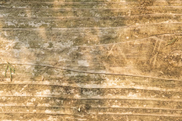 Rustic Wooden Texture: Weathered Wood Background with Natural Patterns and Shadows.