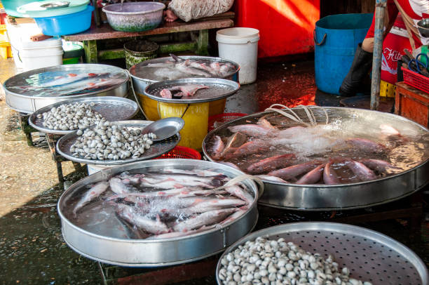 istock Live fish at Sa Dec fish market 2167460241