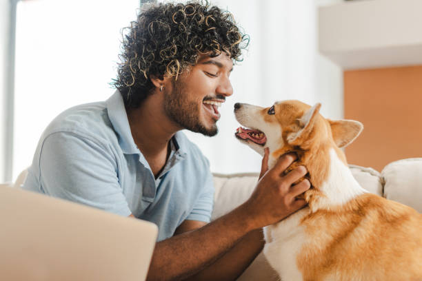 istock Freelancer, Indian man having fun with his dog while working from home 2167466861