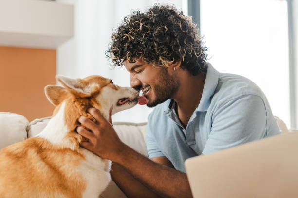istock Happy young man relaxing at home playing with corgi dog 2167466864