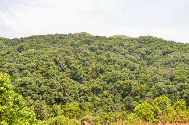 istock Mullayangiri range of mountains in Chikmagalur, India 2167467082