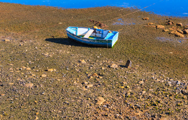 aveiro wooden boats from aerial view with fog at sunrise in Aveiro, Aveiro District, Portugal