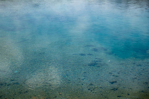 Steaming Hot Spring in Yellowstone National Park