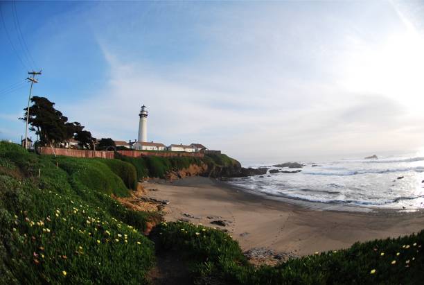 A white lighthouse stands on a cliff overlooking a sandy beach and rocky coastline. The foreground is filled with yellow wildflowers and lush vegetation. Waves can be seen breaking on the shore, and power lines are visible to the left.