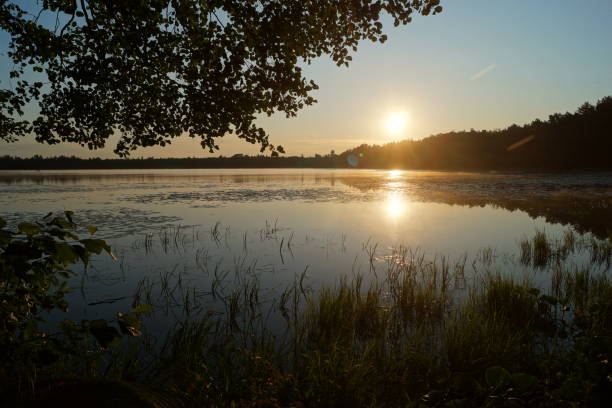 istock Forest lake sunrise reflection landscape 2167477859