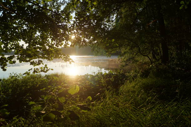 istock Forest lake sunrise reflection landscape 2167477925