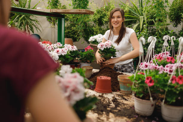 istock Two Women Working in a Flower Greenhouse 2167479452