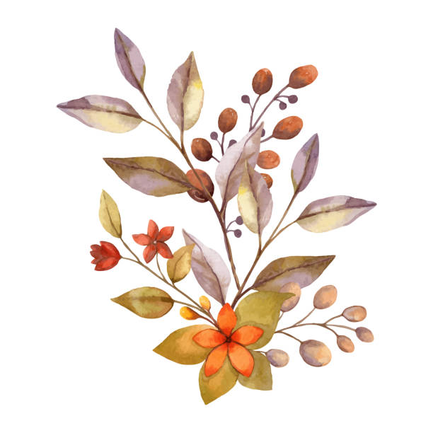 Autumn flower watercolor bouquet with small berries and twig. Hand drawn floral arrangement with blooming in golden and muted colors. Perfect for fall botanical invitation and card designs. Autumn flower watercolor vector bouquet with small berries and twig. Hand drawn floral arrangement with blooming in golden and muted colors. Perfect for fall invitation and greeting card design. fall flower bouquet stock illustrations