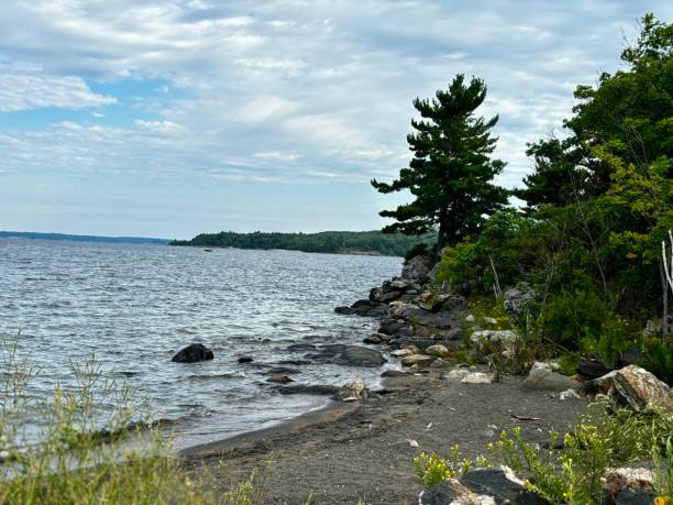istock Georgian Bay shoreline 2167480548